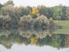 Herbst/Landschaftsfoto Süssenbrunn - ein Paradies für Hunde