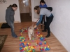 Welpentraining Fotos - Hundebetreuung Stieglecker - Hundewelpen Schule